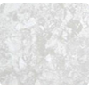         1,65 Elbe SBGD 160 Supra (white perl)