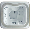 ��� ������� Jacuzzi Premium J 345 213x213x91 �� ���� Twilight, ���������� Silver Wood