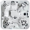 СПА бассейн Arctic Spa Summit Legend Extreme (elit)