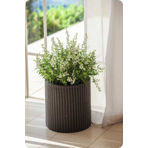   () Keter   S+M+L CYLINDER PLANTERS   521