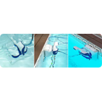  ������� �������������� Dolphin Maximus X90