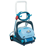  ������� �������������� Dolphin Luminous Magic