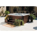  ��� ������� Sundance Spas 780 ����� Certa, 206�219�96�� ���� ���� ������, ���� ������� �������