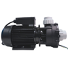    Pool King WP300-I