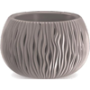  () Prosperplast Sandy Bowl, 
