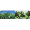     Prime 50100 , /  