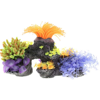   Vitality  300120220 , SH026SB