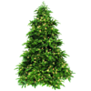   Triumph Tree  305  1144  