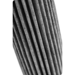        15 (   ,  )