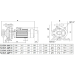     LEO XST65-125/55 (5.5, 55.5 3/, 19 )