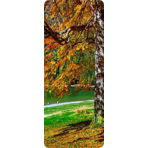   Flamma Design 089 1200*600 
