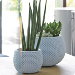   () Prosperplast 9  Splofy bowl, 