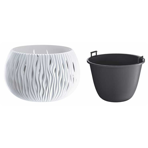   () Prosperplast 9  Sandy Bowl, 
