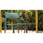   () Nardi Trill,  