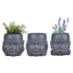   () Idealist Face Planter  (KID-FP-ONE-LG-24)