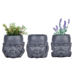   () Idealist Face Planter  (KID-FP-THREE-LG-24)