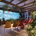   () Nardi Net Lounge,  