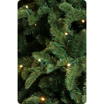    Triumph Tree  305  1144  