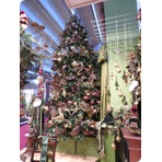    Triumph Tree  305  1144  