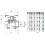      Coraplax TYPE PE .50 (DN40)